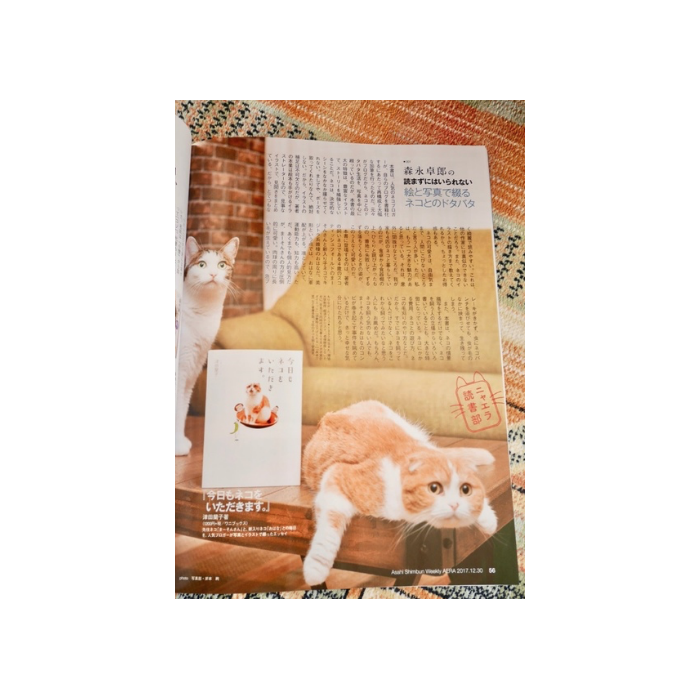 メディア Of Randism